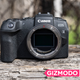 Illustration for article titled I Pitted Canons Affordable EOS RP Against My Beloved Sony A7 III